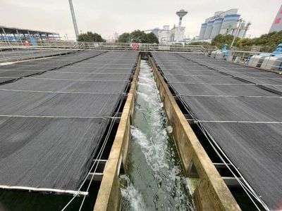 寧波實施五大工程，打造“再生水”利用全國新標桿
